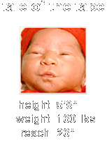 tale of the tape